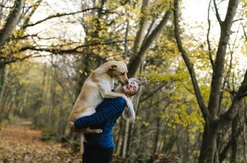 pexels-goodcitizen-1612861