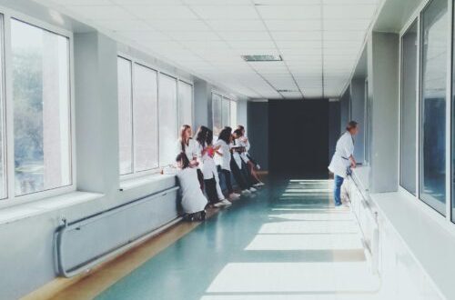 pexels-oles-kanebckuu-34911-127873